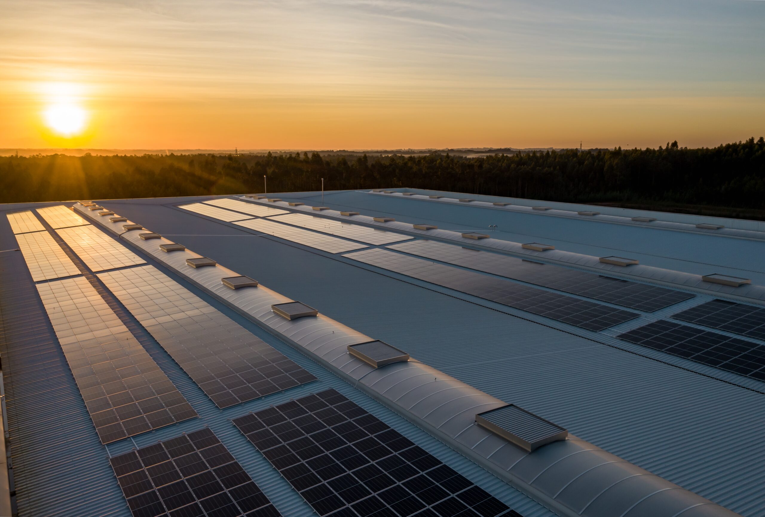 solar panels at sunset